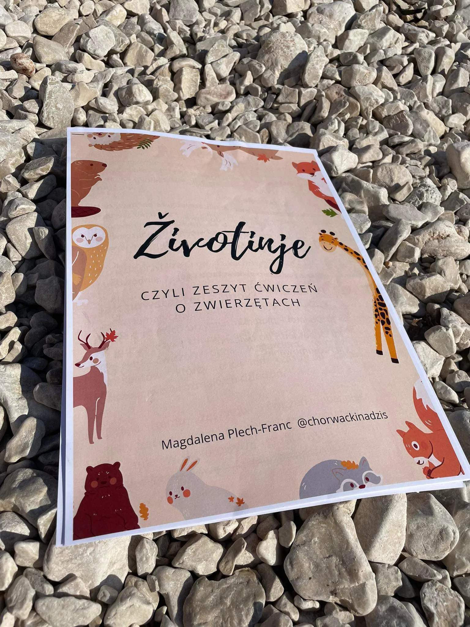 Zdjęcie produktu