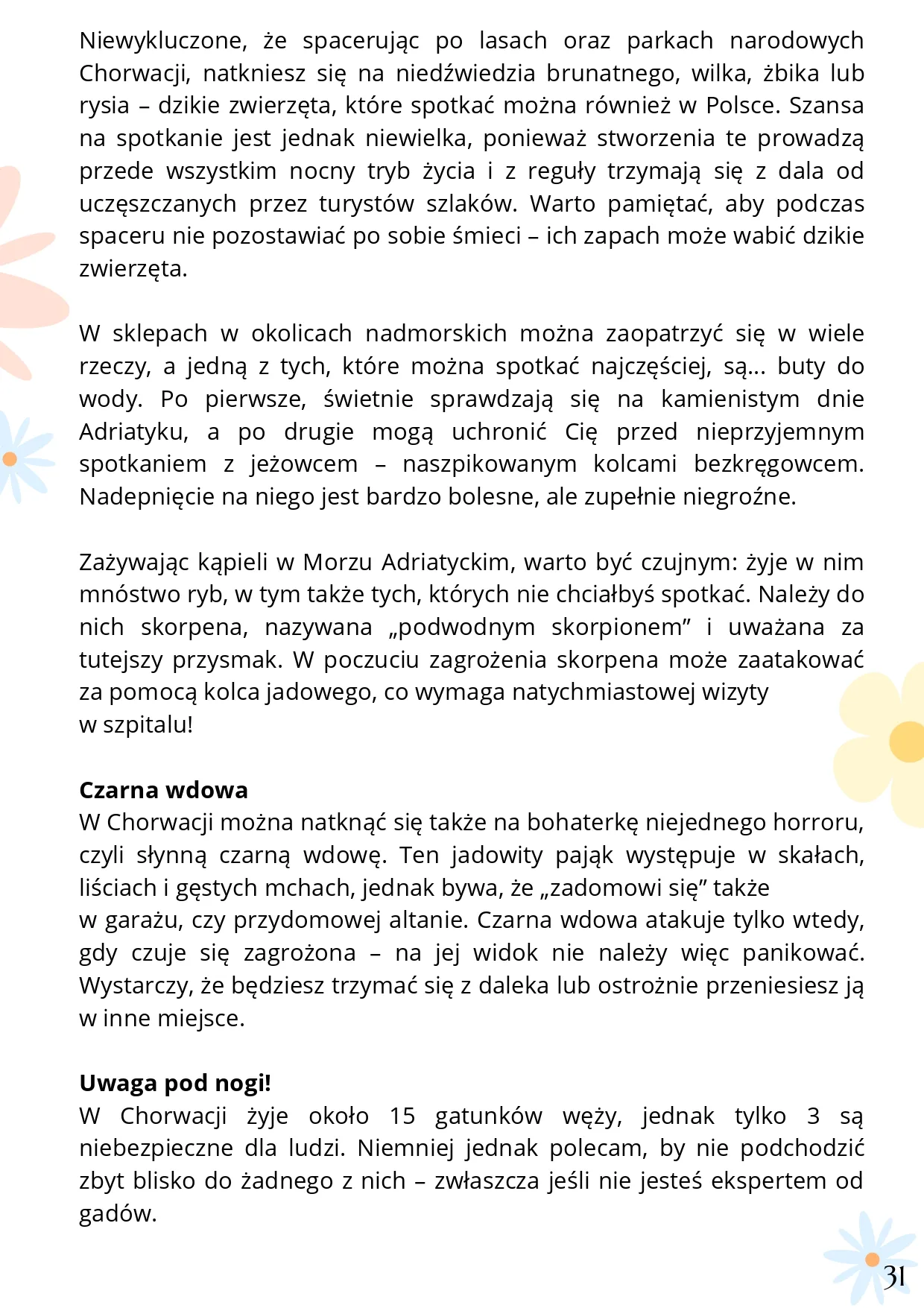 Zdjęcie produktu