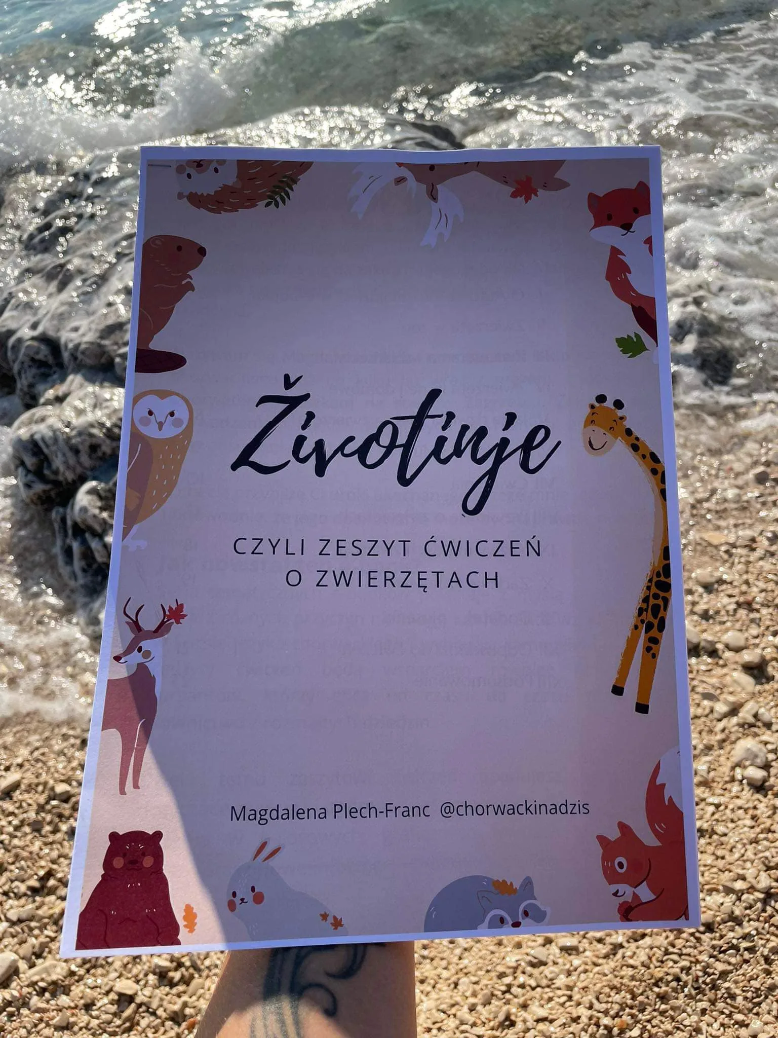 Zdjęcie produktu