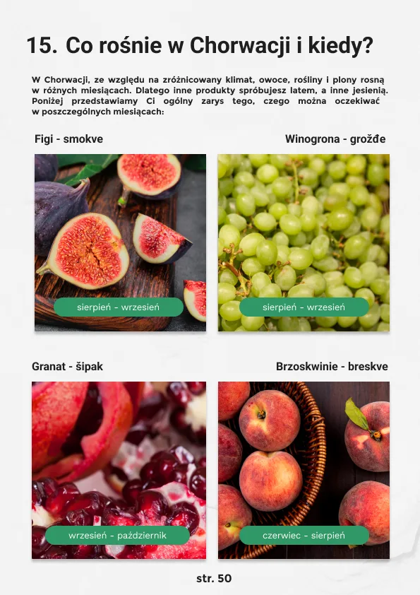 Zdjęcie produktu
