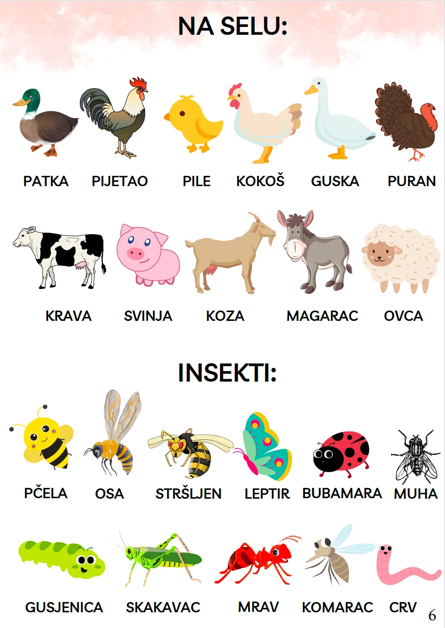 Zdjęcie produktu