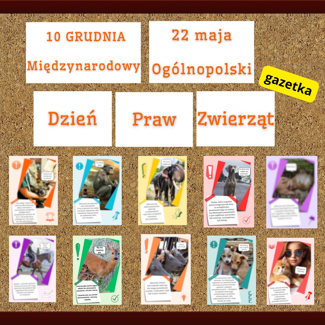 Zdjęcie produktu