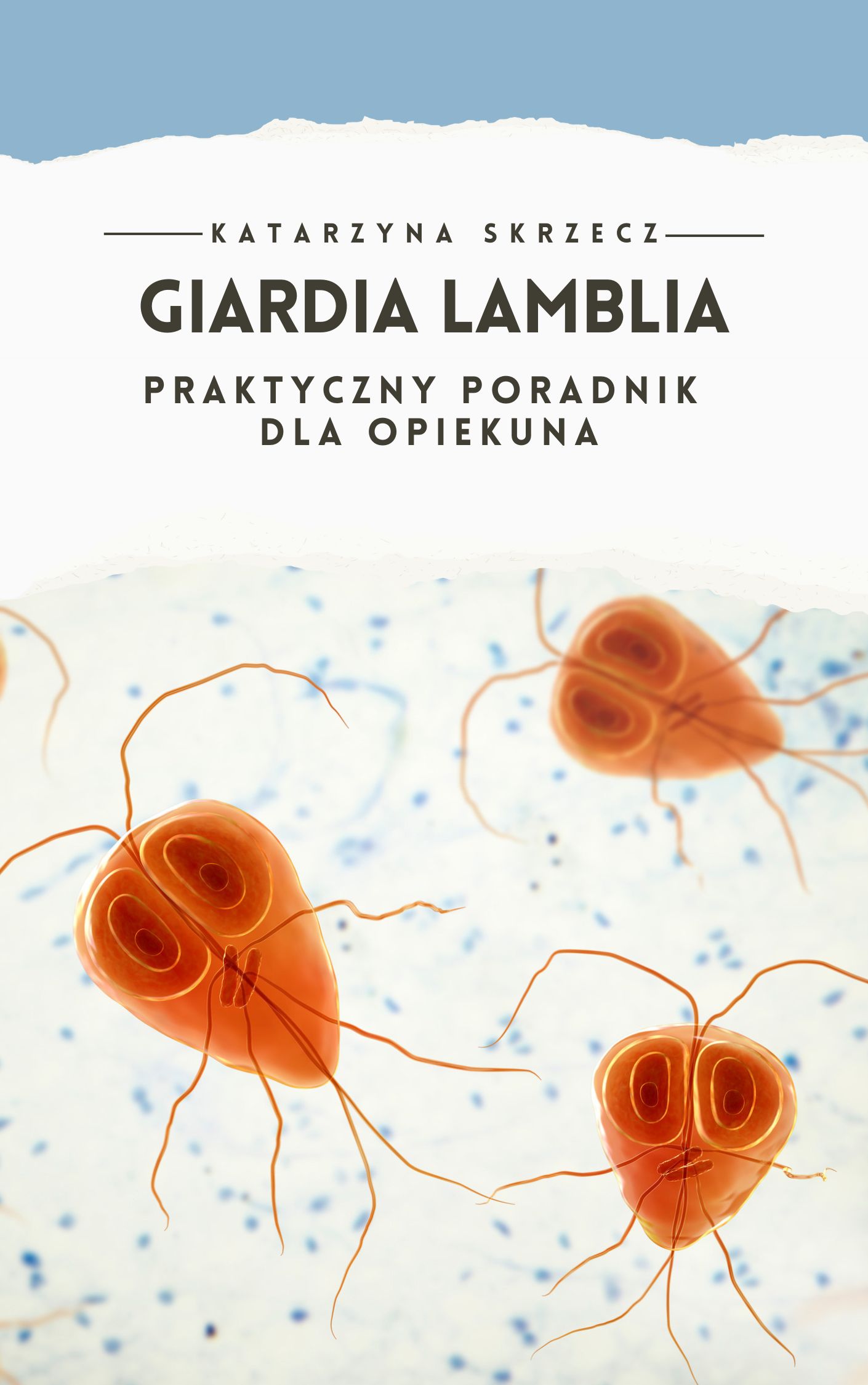 Zdjęcie produktu