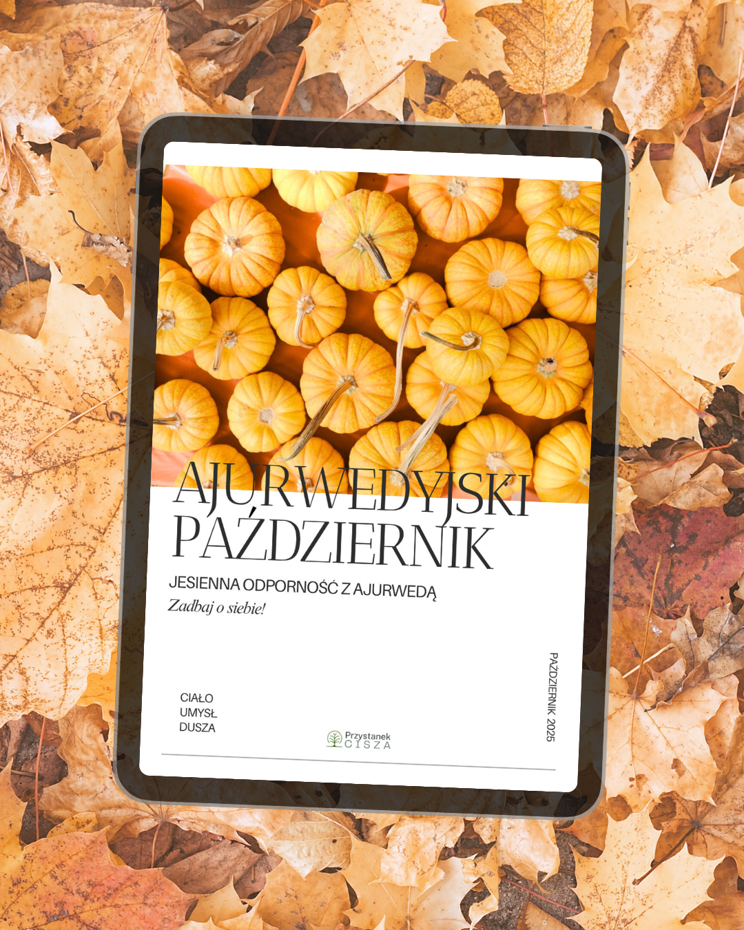 Zdjęcie produktu