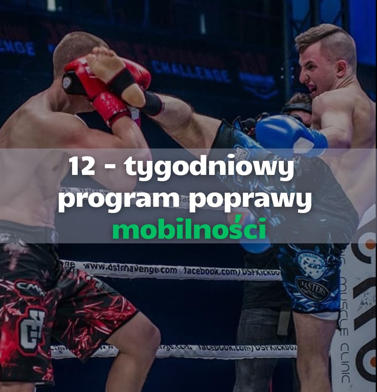 Zdjęcie produktu
