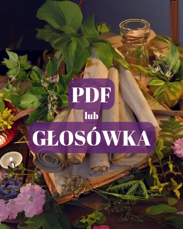 Zdjęcie produktu
