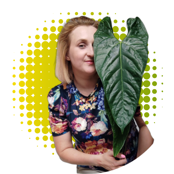 Zdjęcie produktu