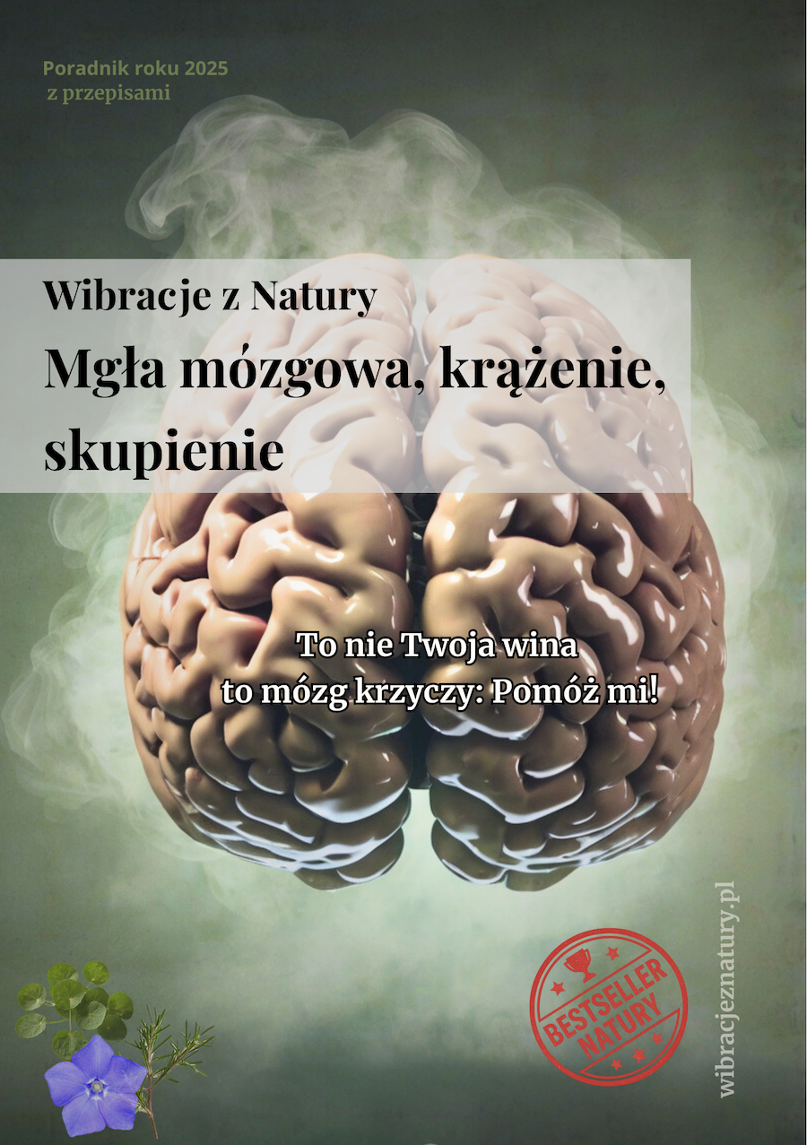 Zdjęcie produktu