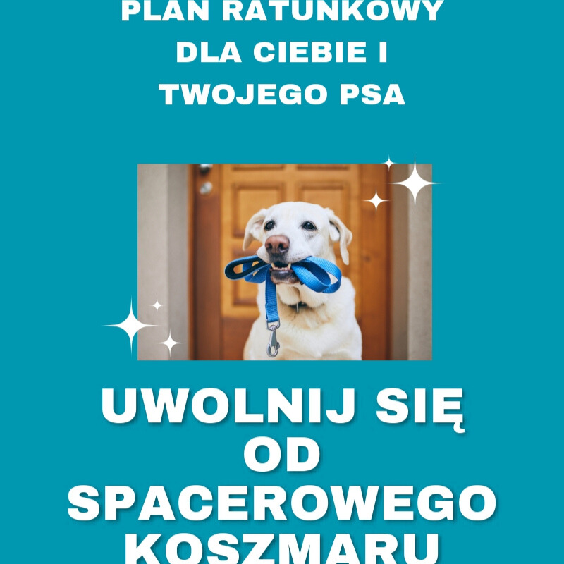 Zdjęcie produktu