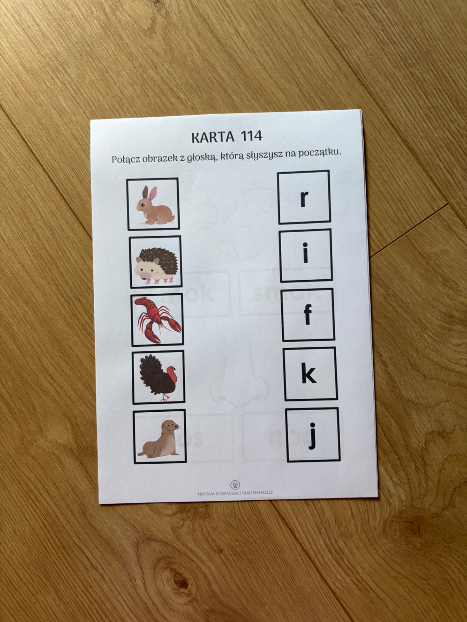 Zdjęcie produktu