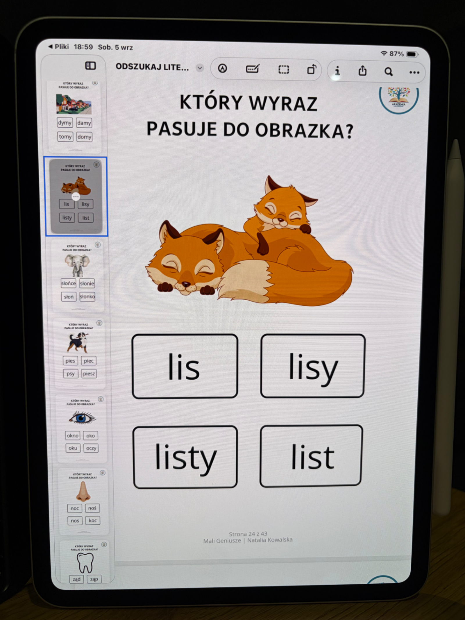 Zdjęcie produktu