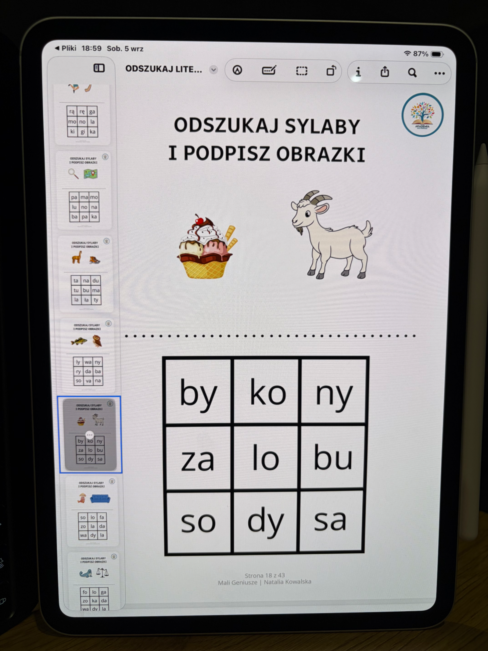 Zdjęcie produktu