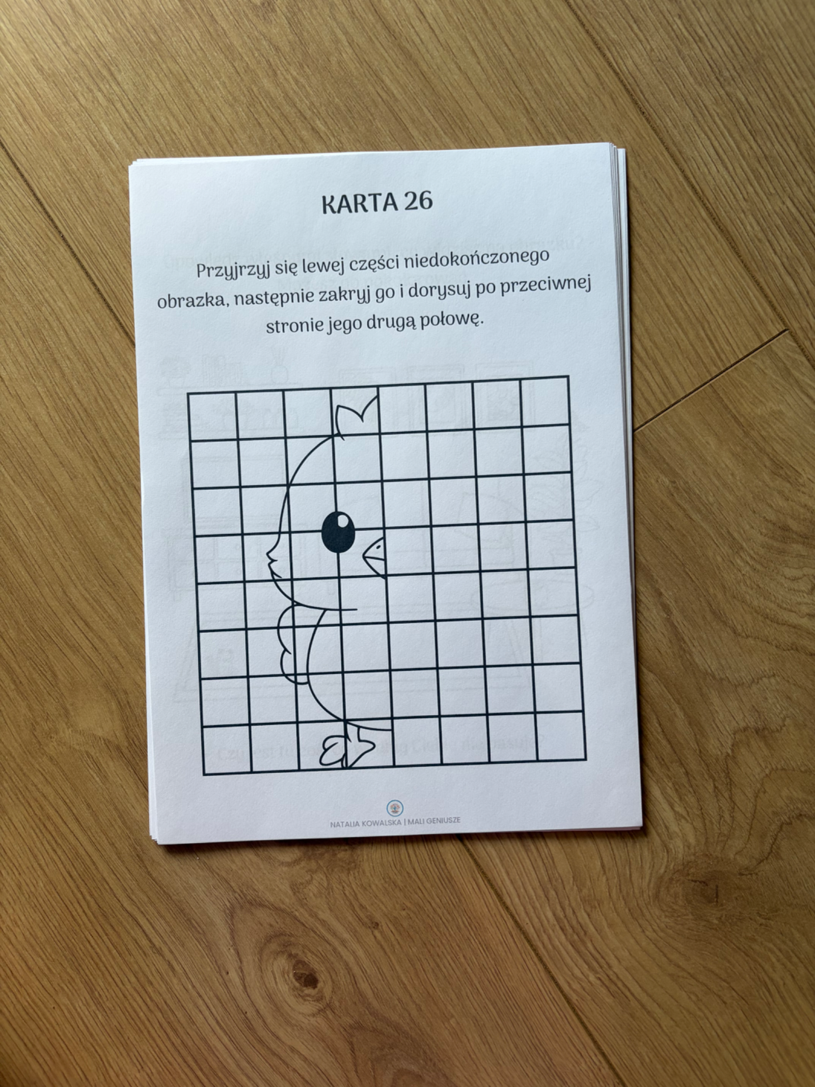 Zdjęcie produktu