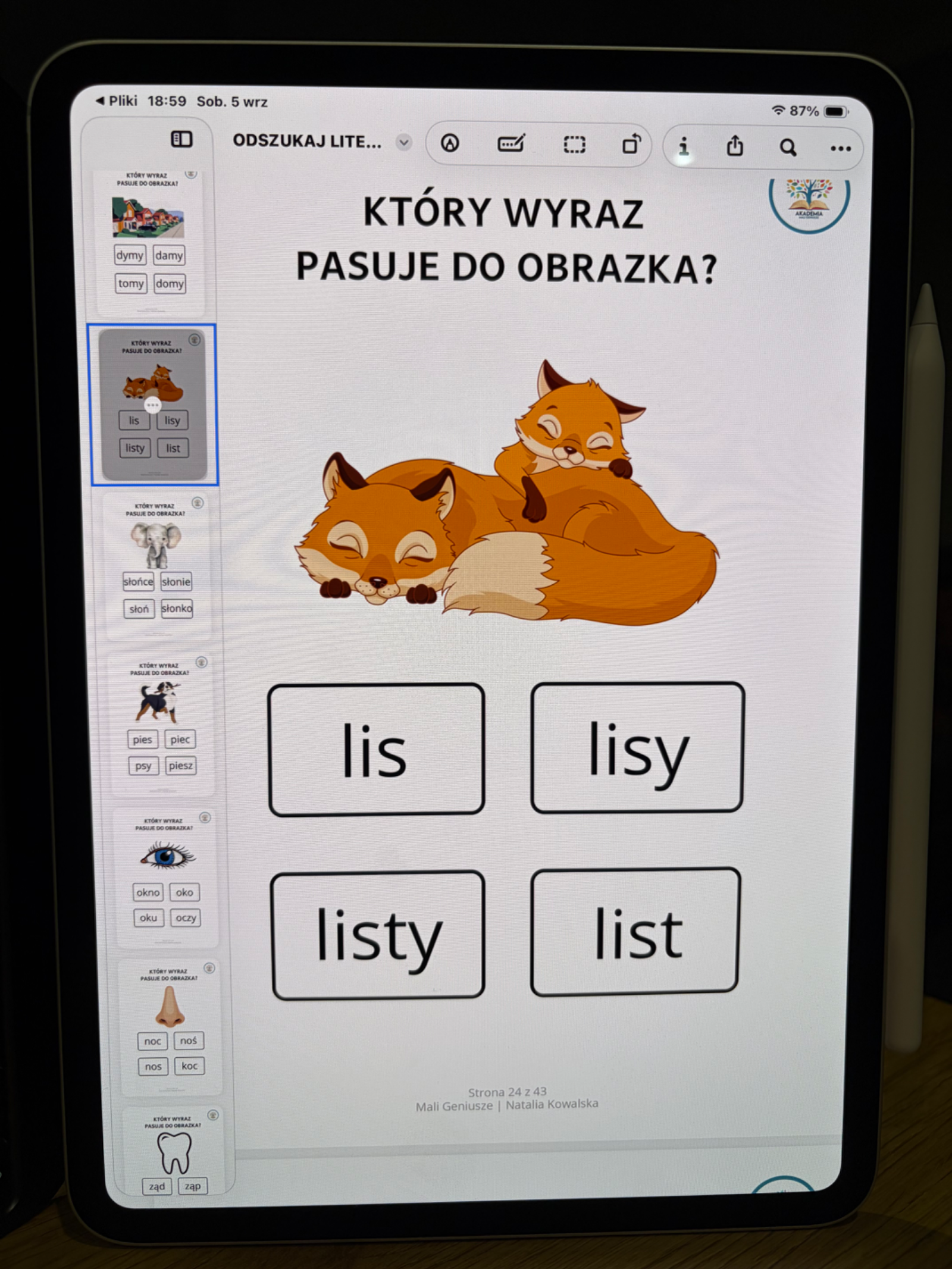 Zdjęcie produktu