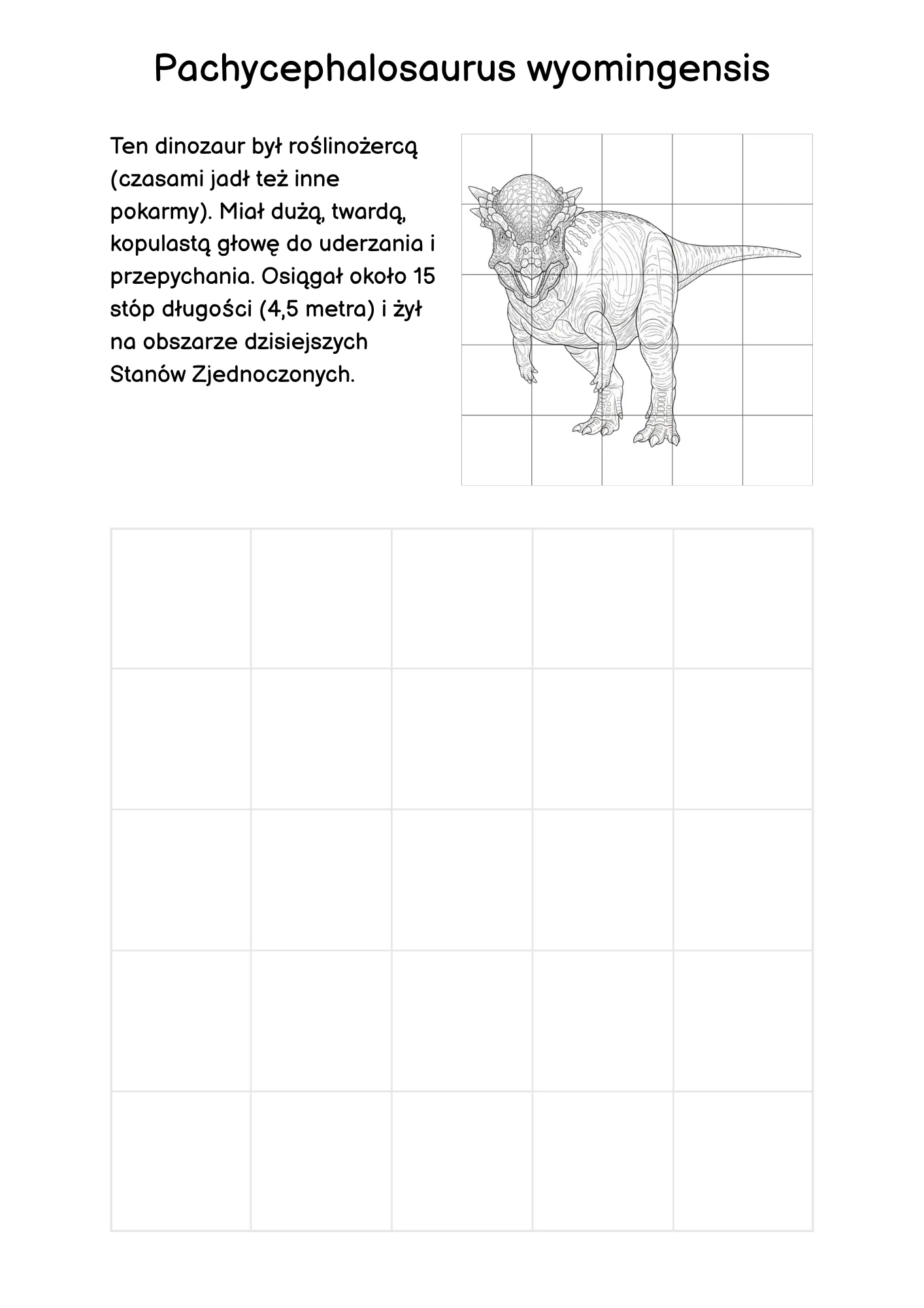Zdjęcie produktu