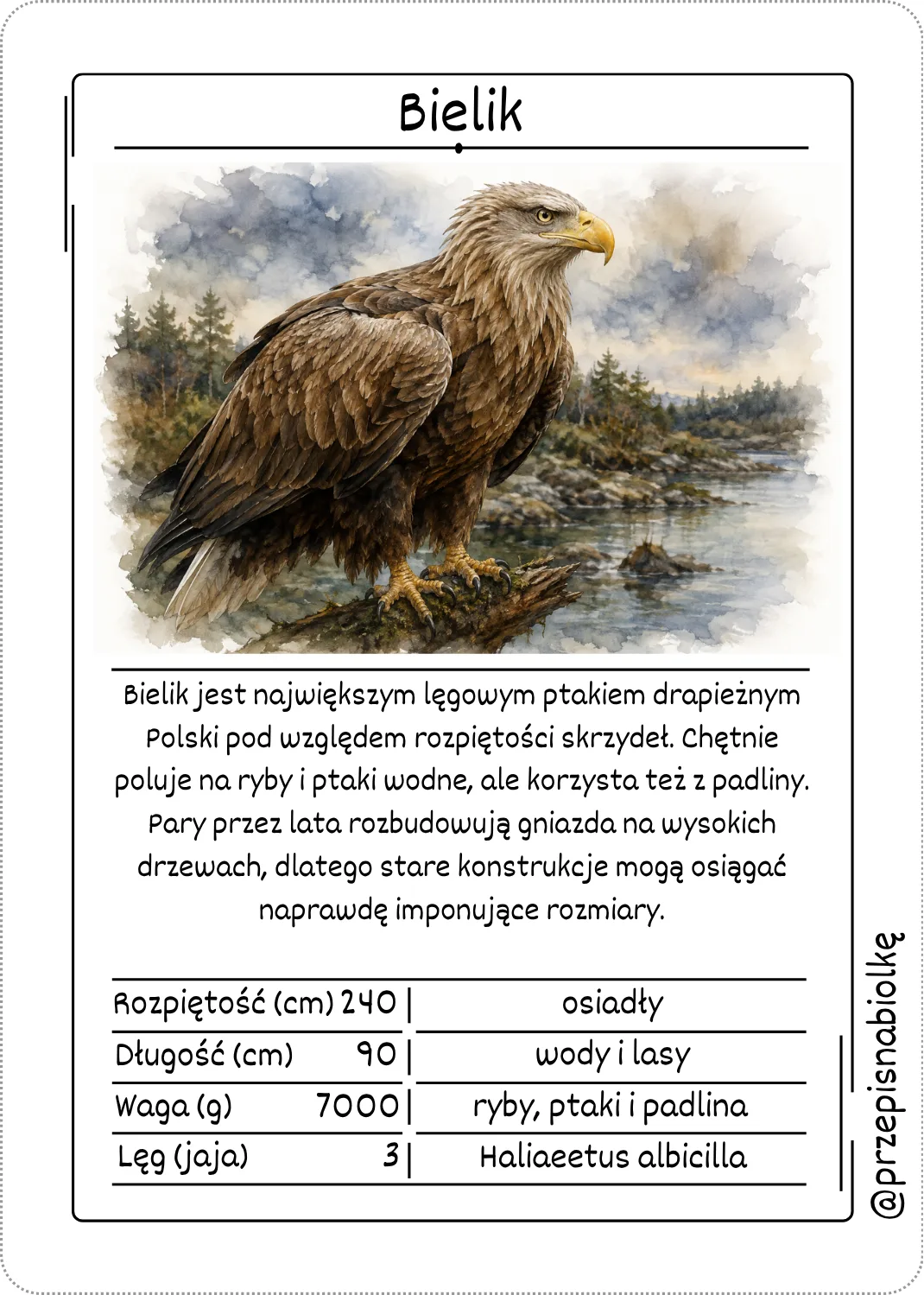 Zdjęcie produktu