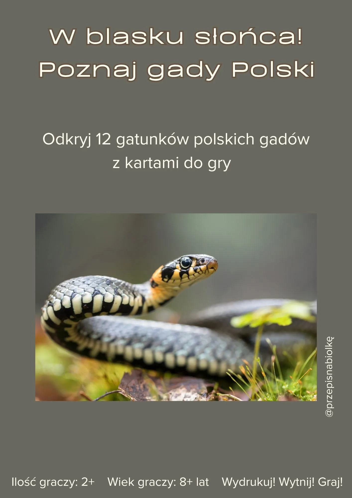 Zdjęcie produktu