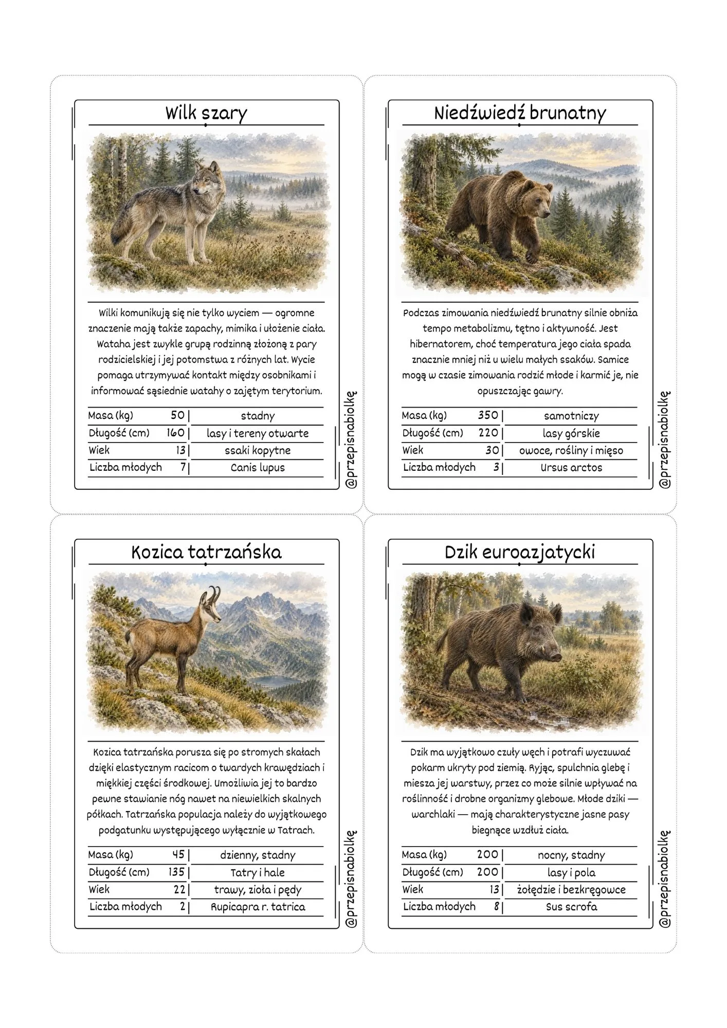 Zdjęcie produktu