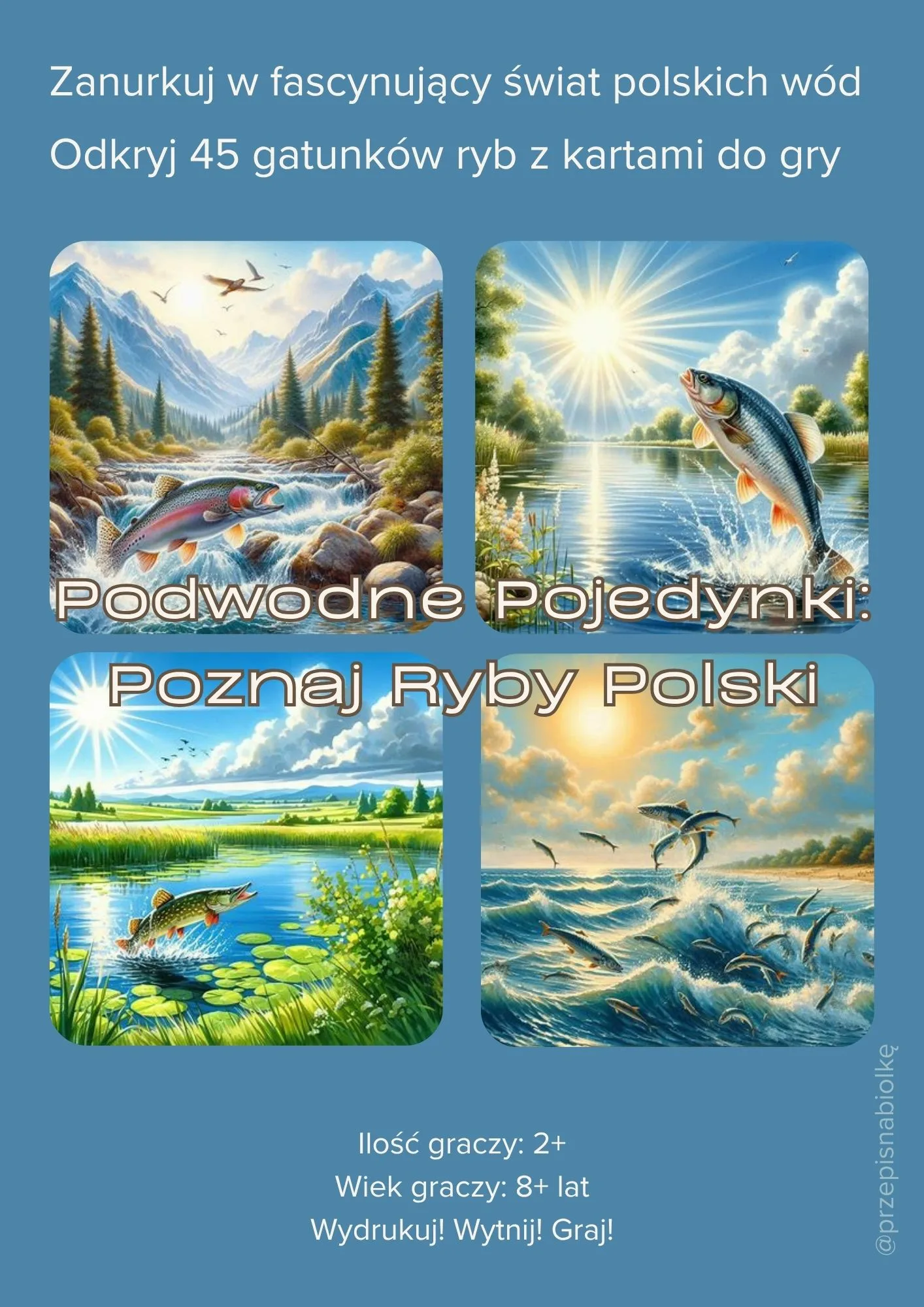 Zdjęcie produktu