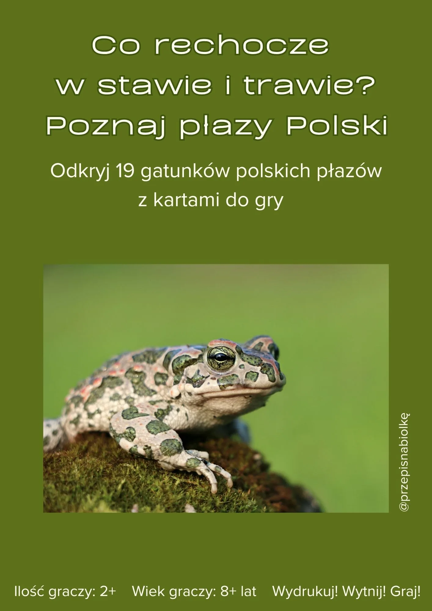 Zdjęcie produktu