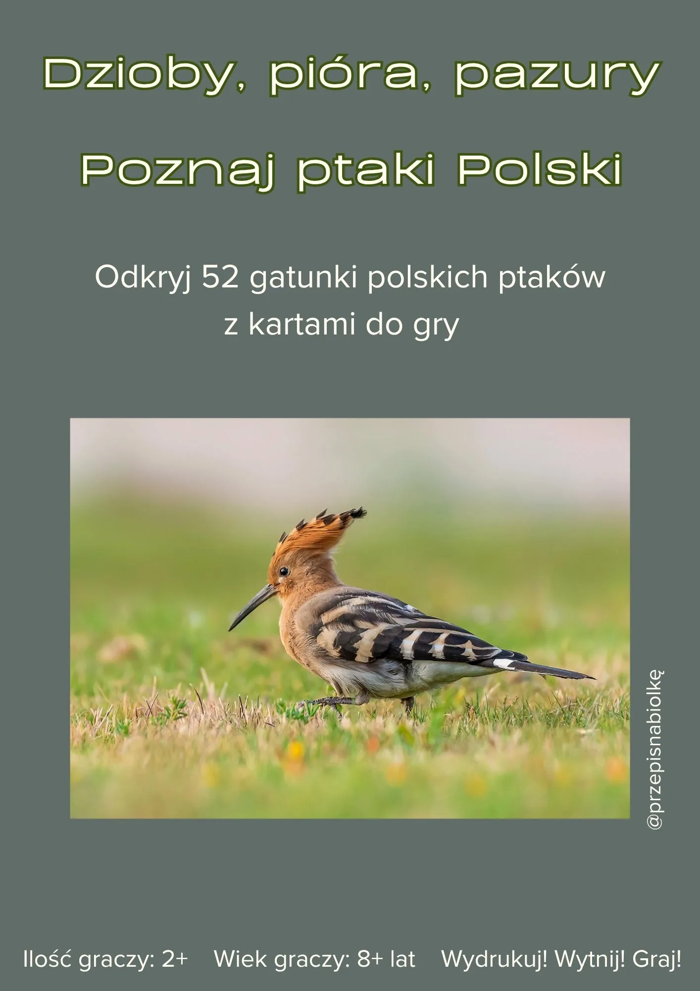 Zdjęcie produktu