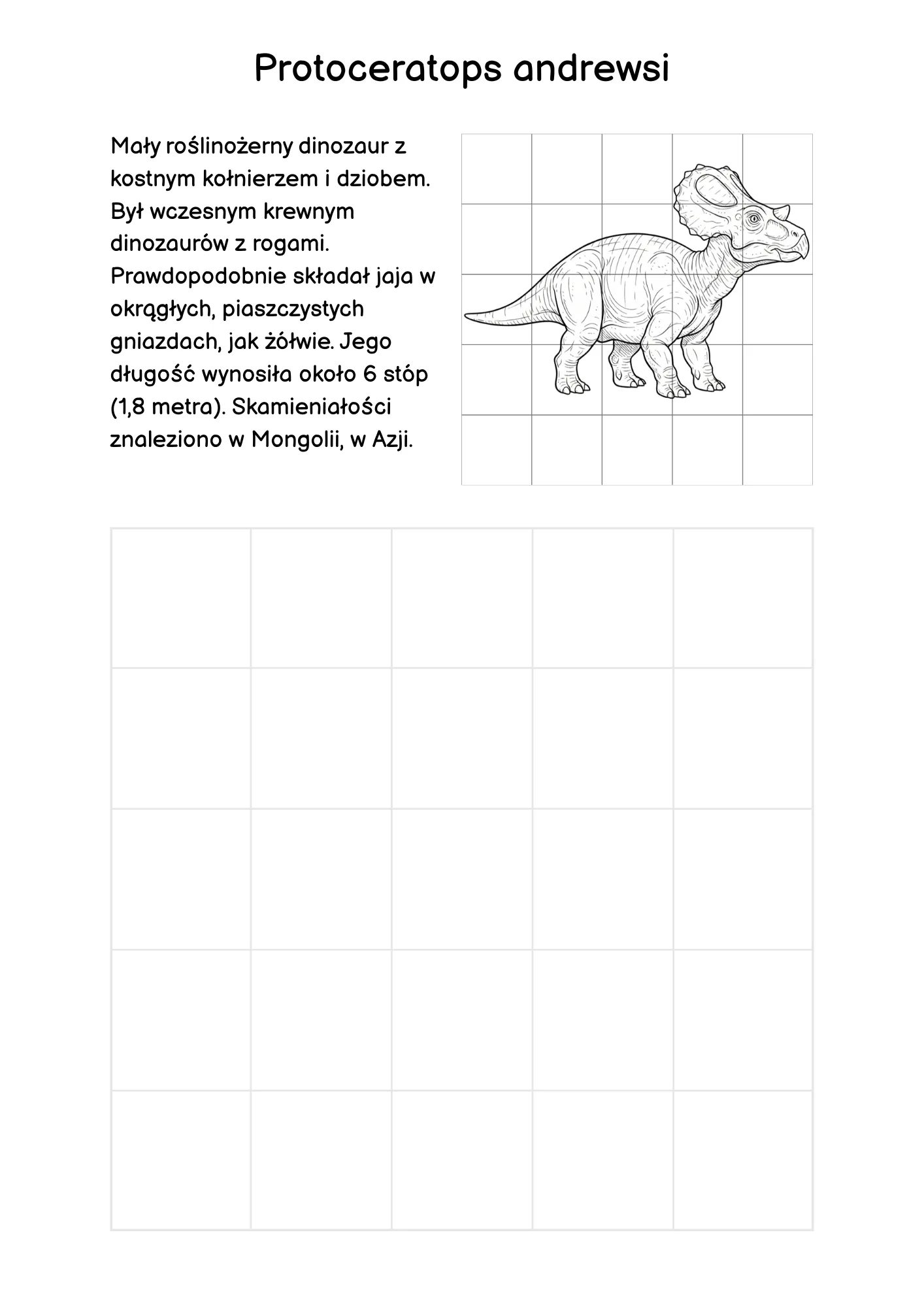 Zdjęcie produktu