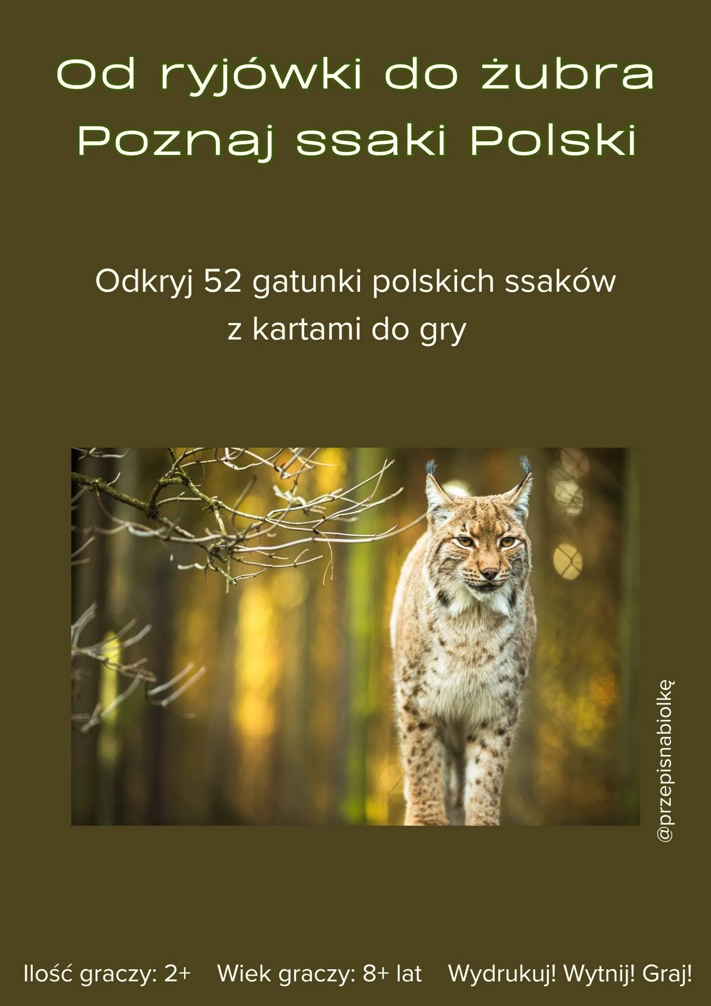 Zdjęcie produktu
