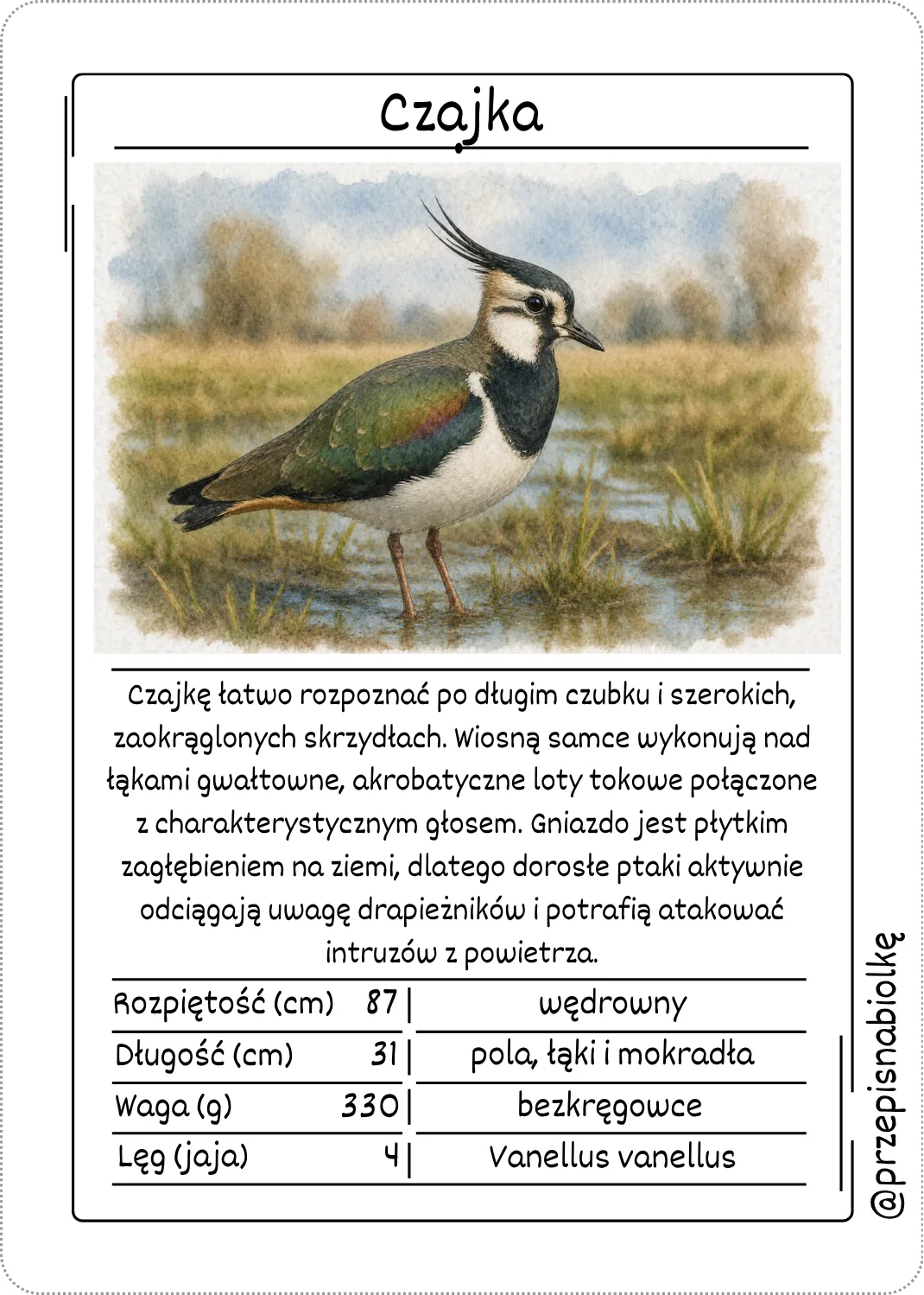 Zdjęcie produktu