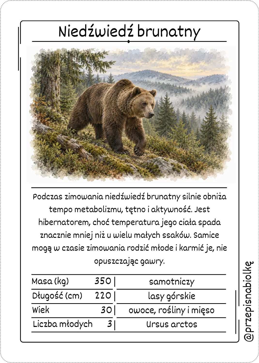 Zdjęcie produktu