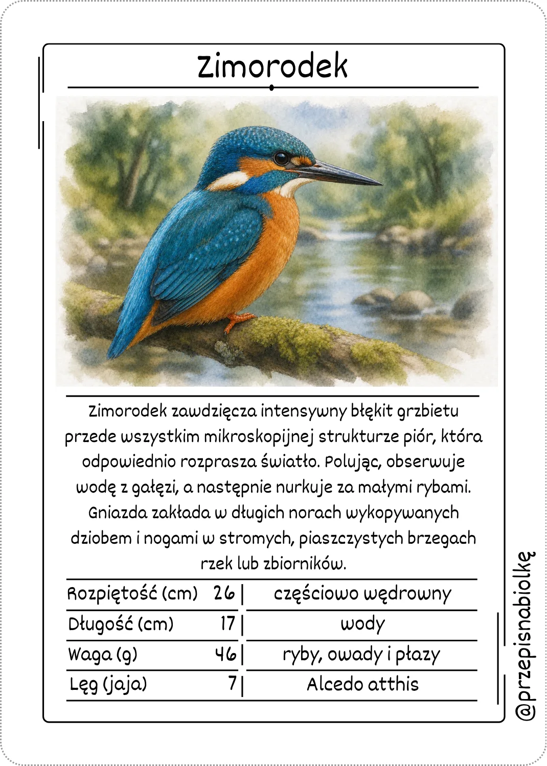 Zdjęcie produktu