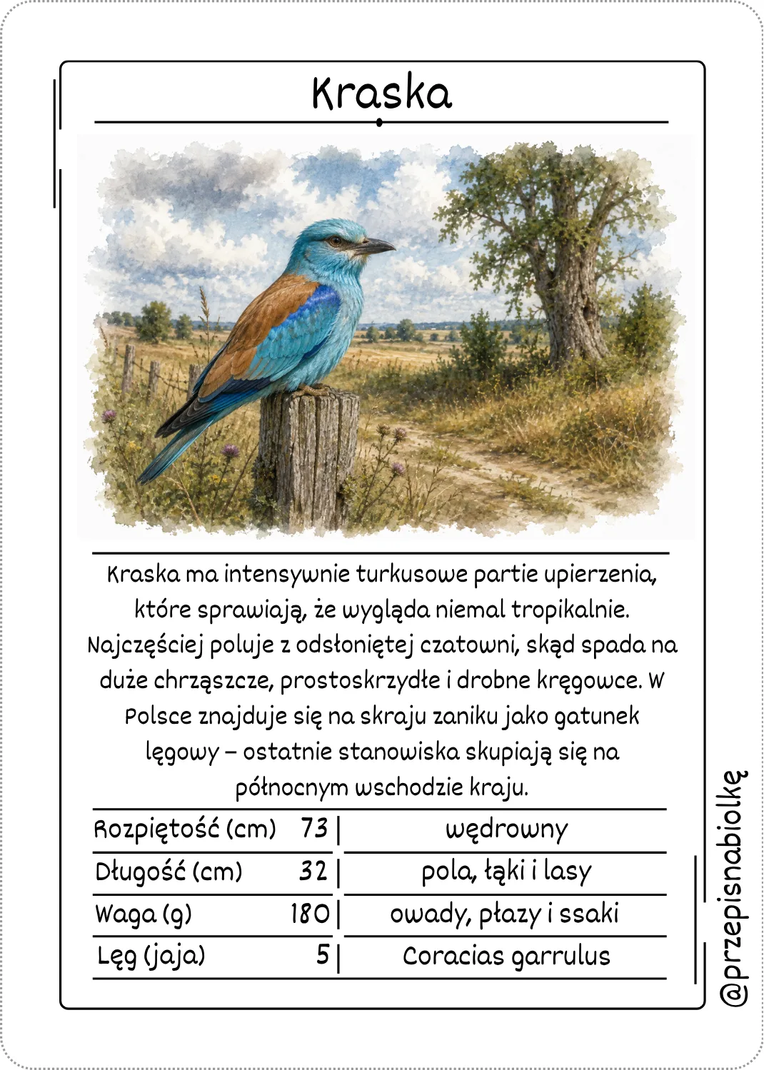 Zdjęcie produktu