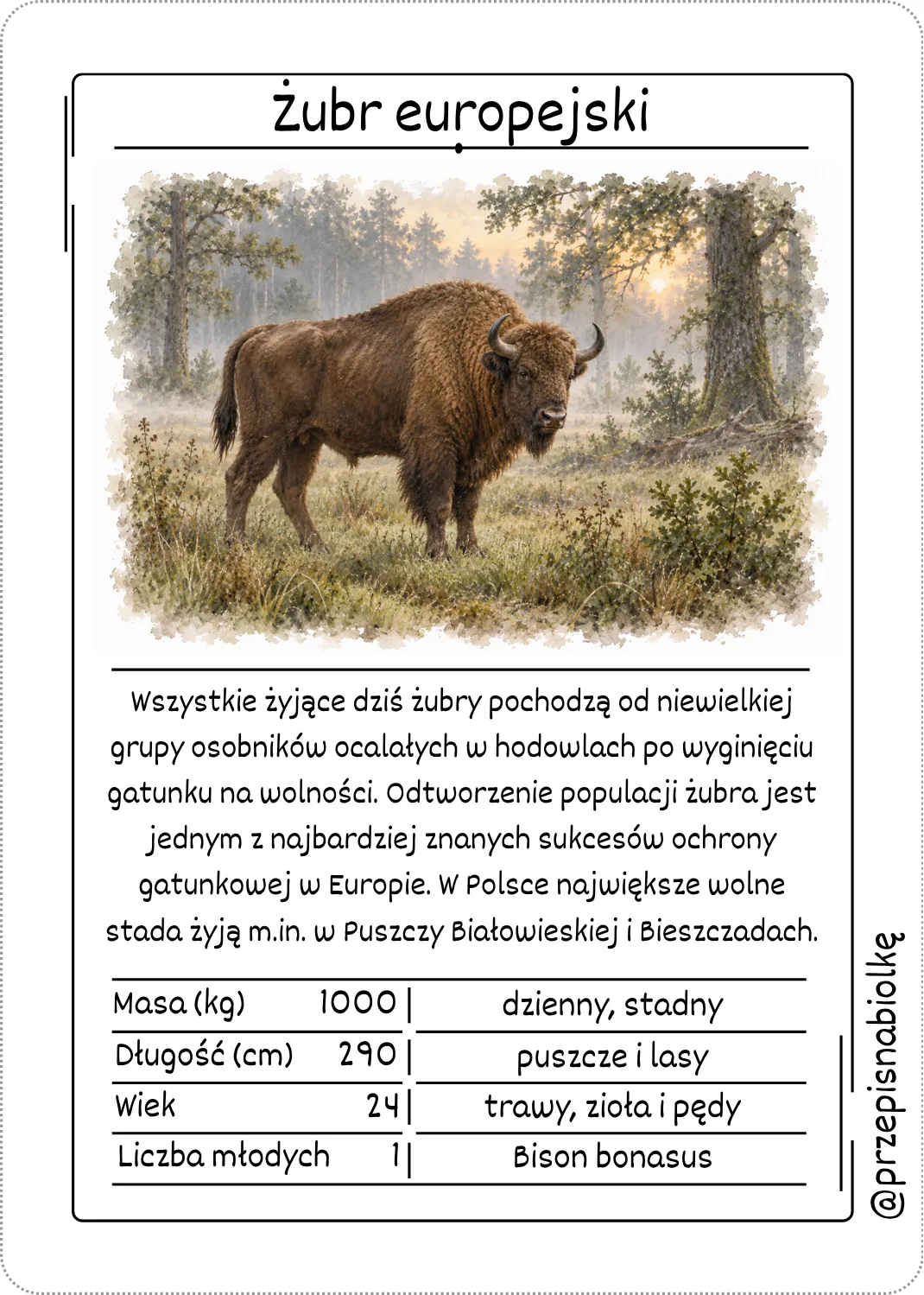 Zdjęcie produktu