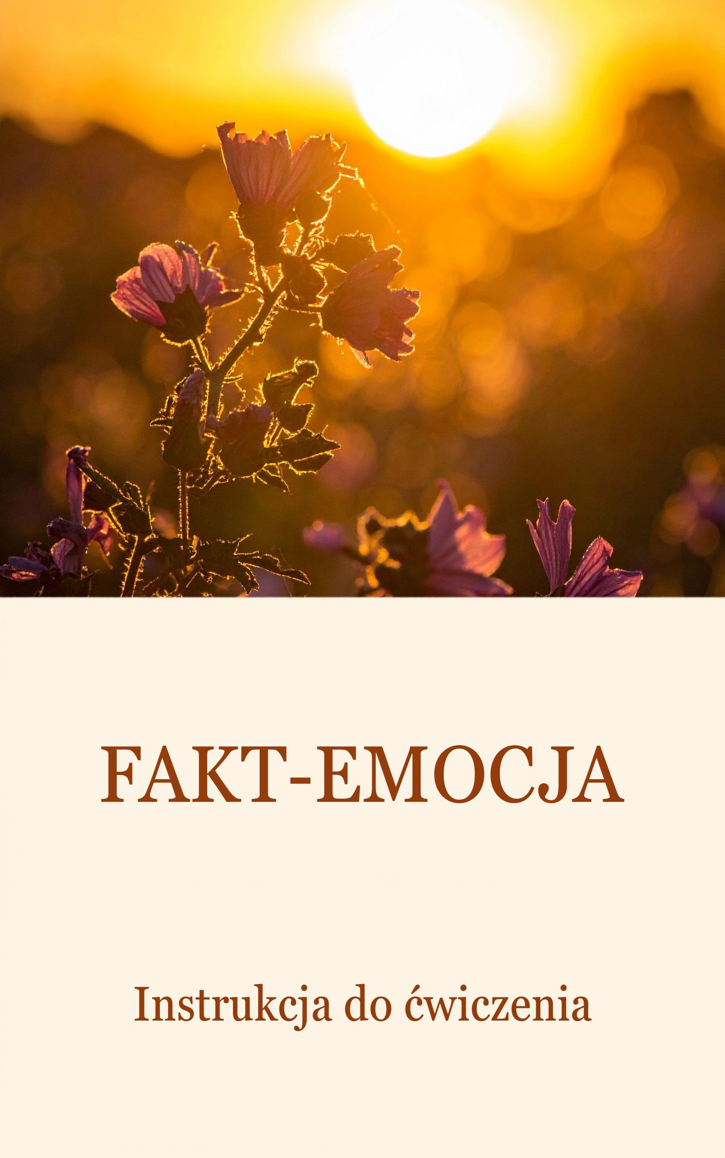 Zdjęcie produktu