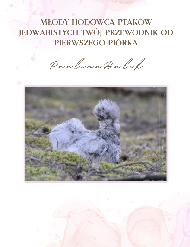 Zdjęcie produktu