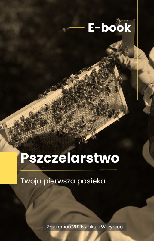 Zdjęcie produktu