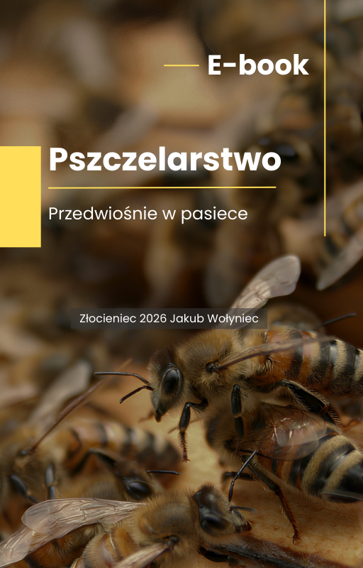 Zdjęcie produktu