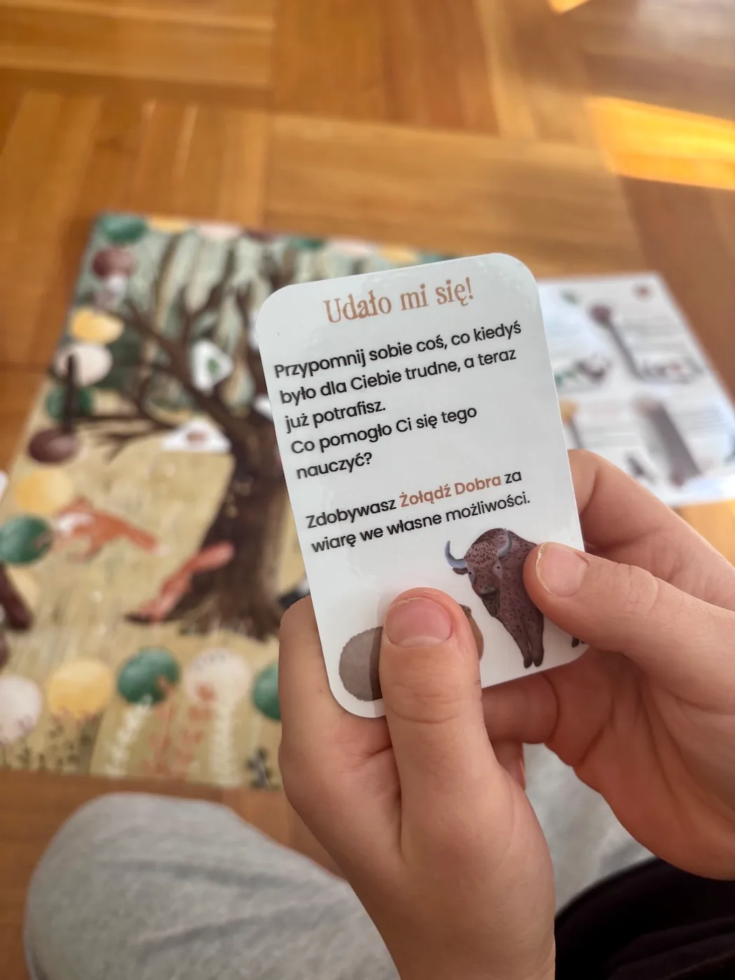 Zdjęcie produktu