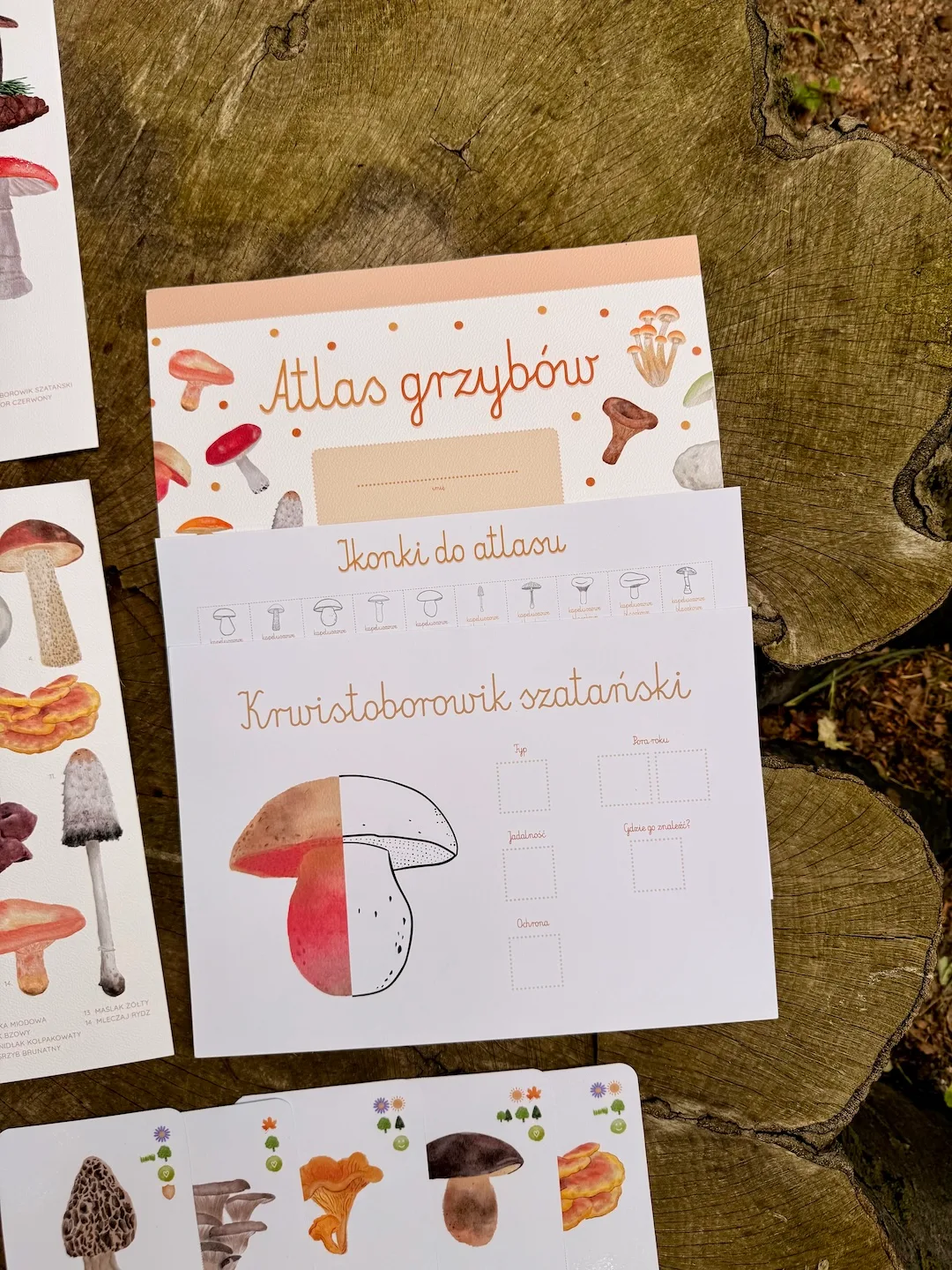 Zdjęcie produktu