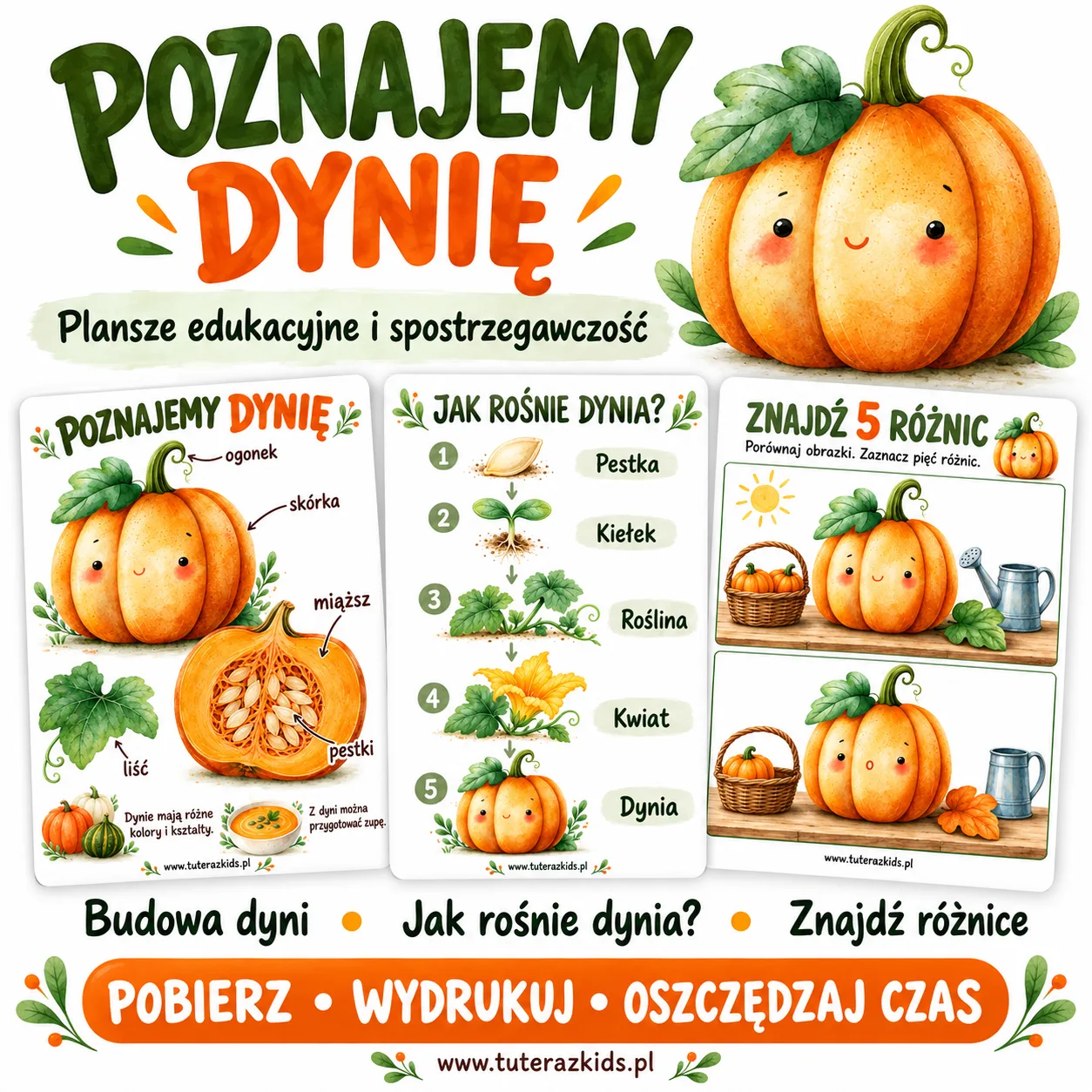 Zdjęcie produktu