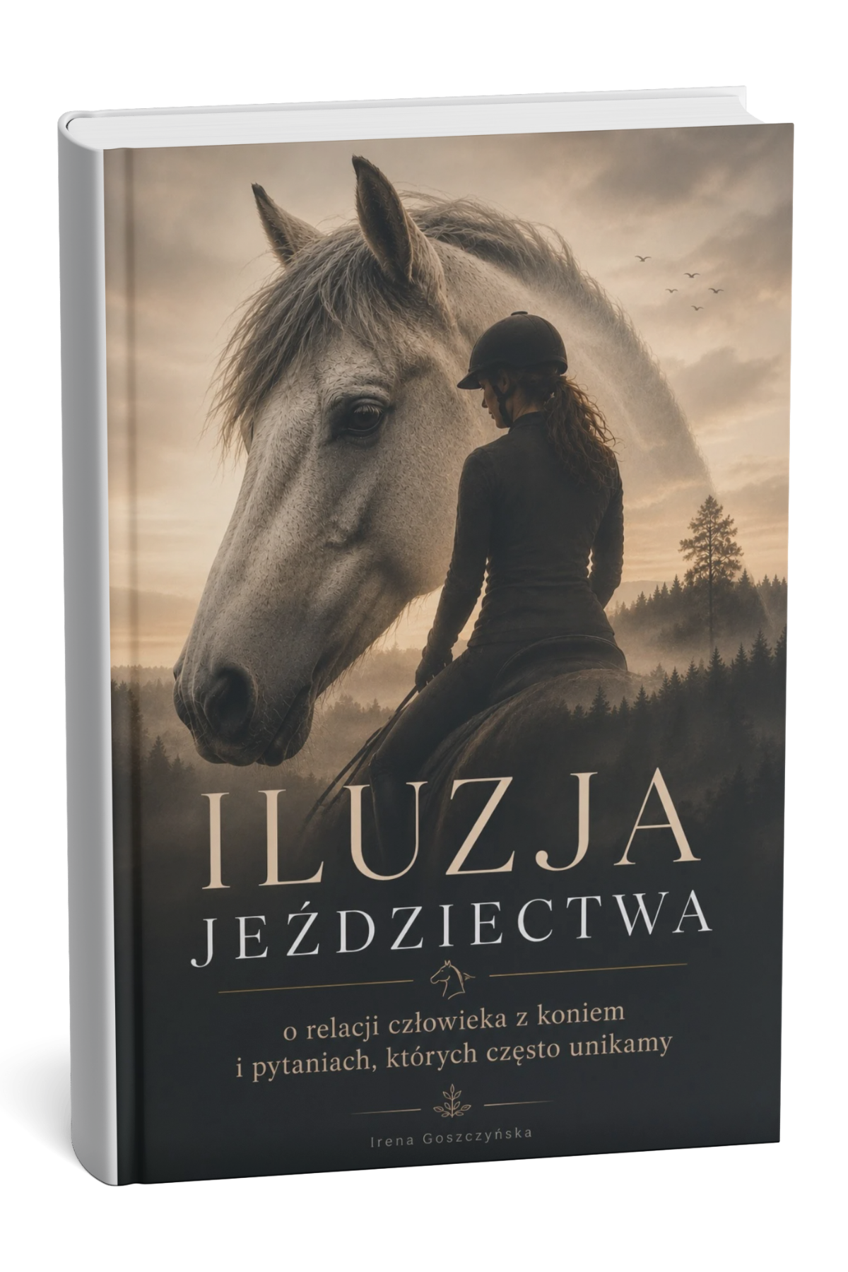 Zdjęcie produktu