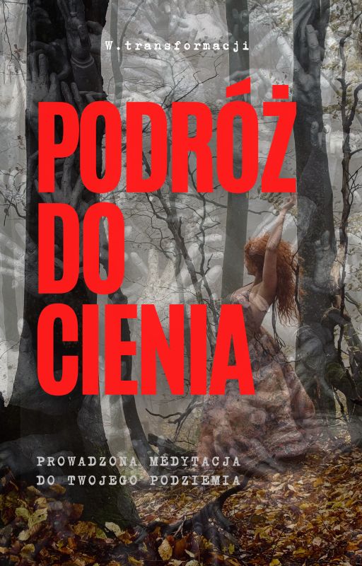 Zdjęcie produktu