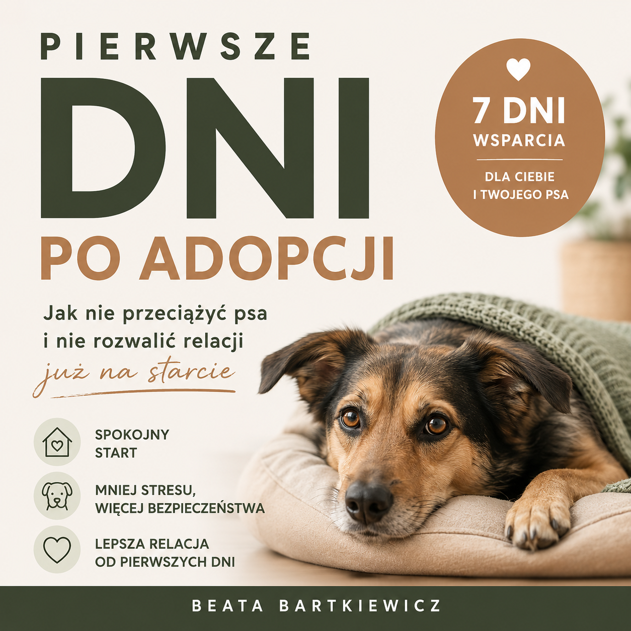 Zdjęcie produktu