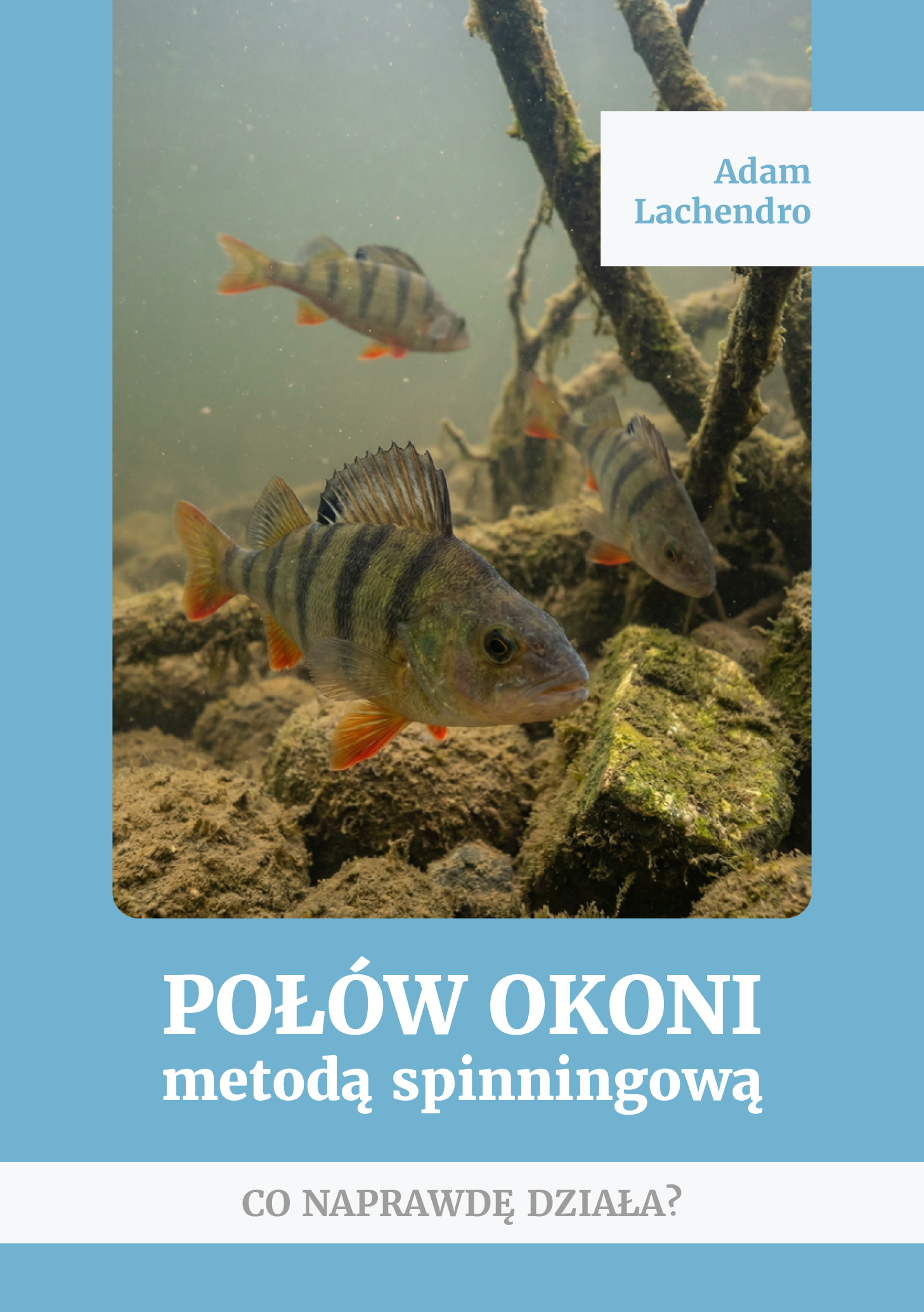 Zdjęcie produktu