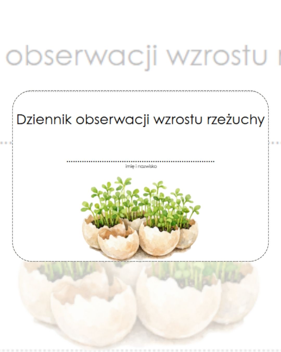 Zdjęcie produktu