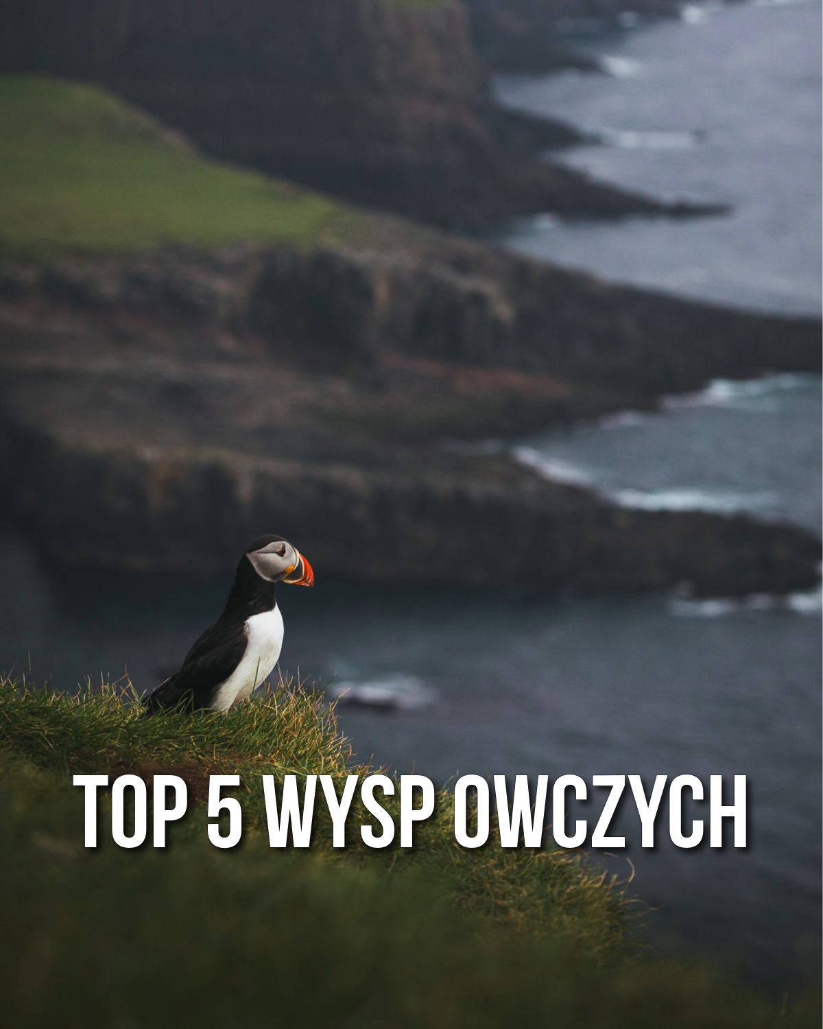 Zdjęcie produktu