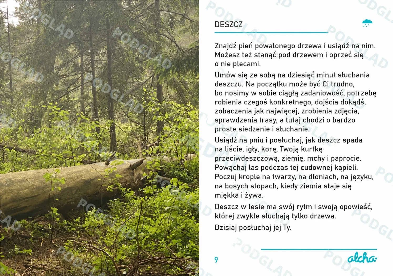 Zdjęcie produktu