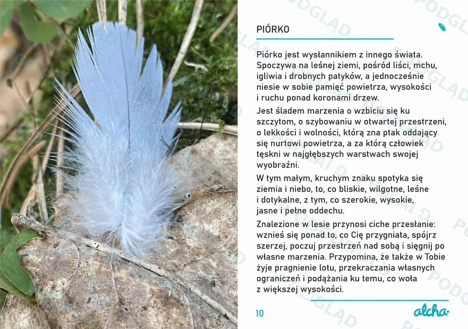 Zdjęcie produktu