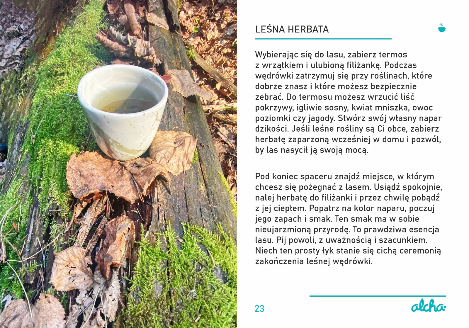 Zdjęcie produktu