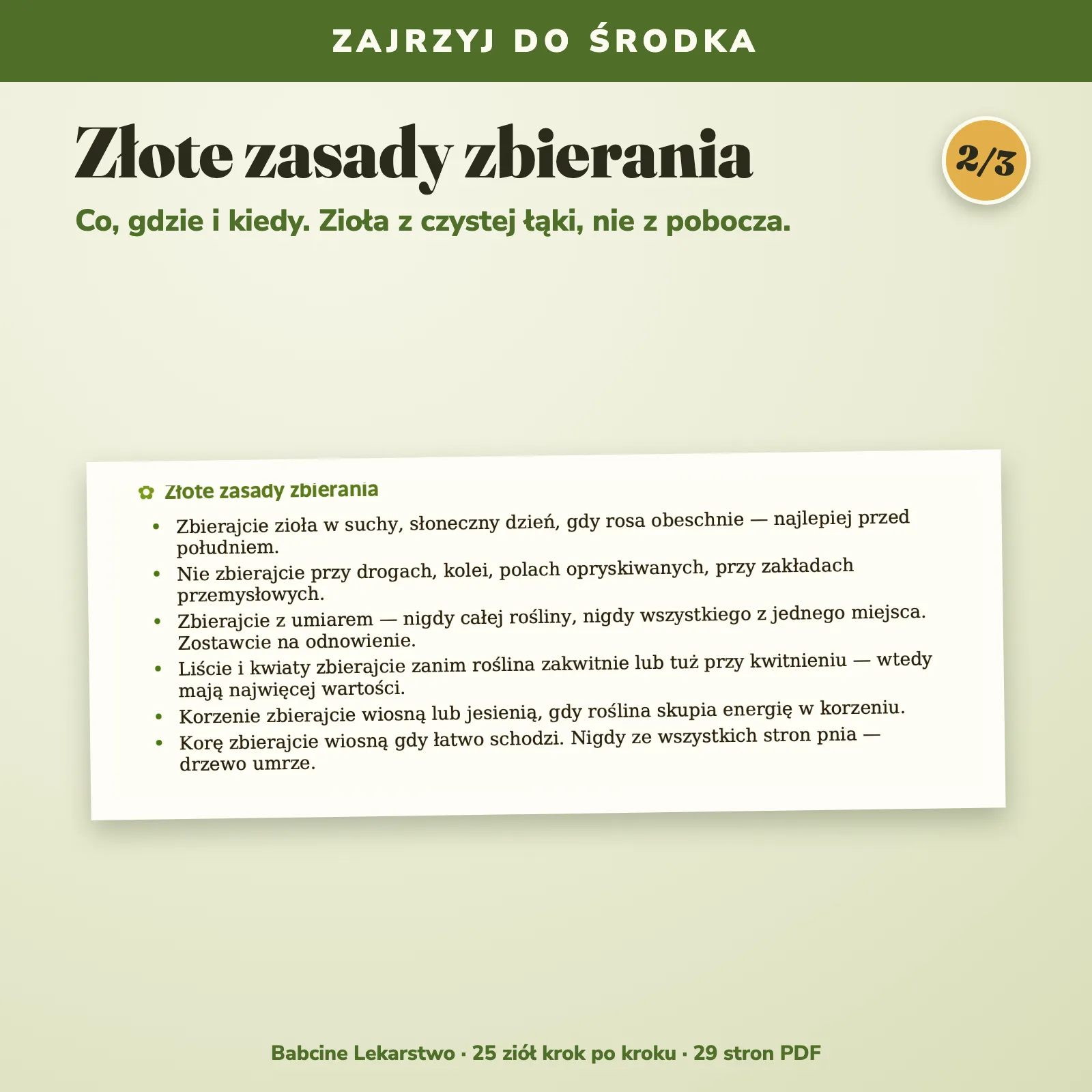 Zdjęcie produktu