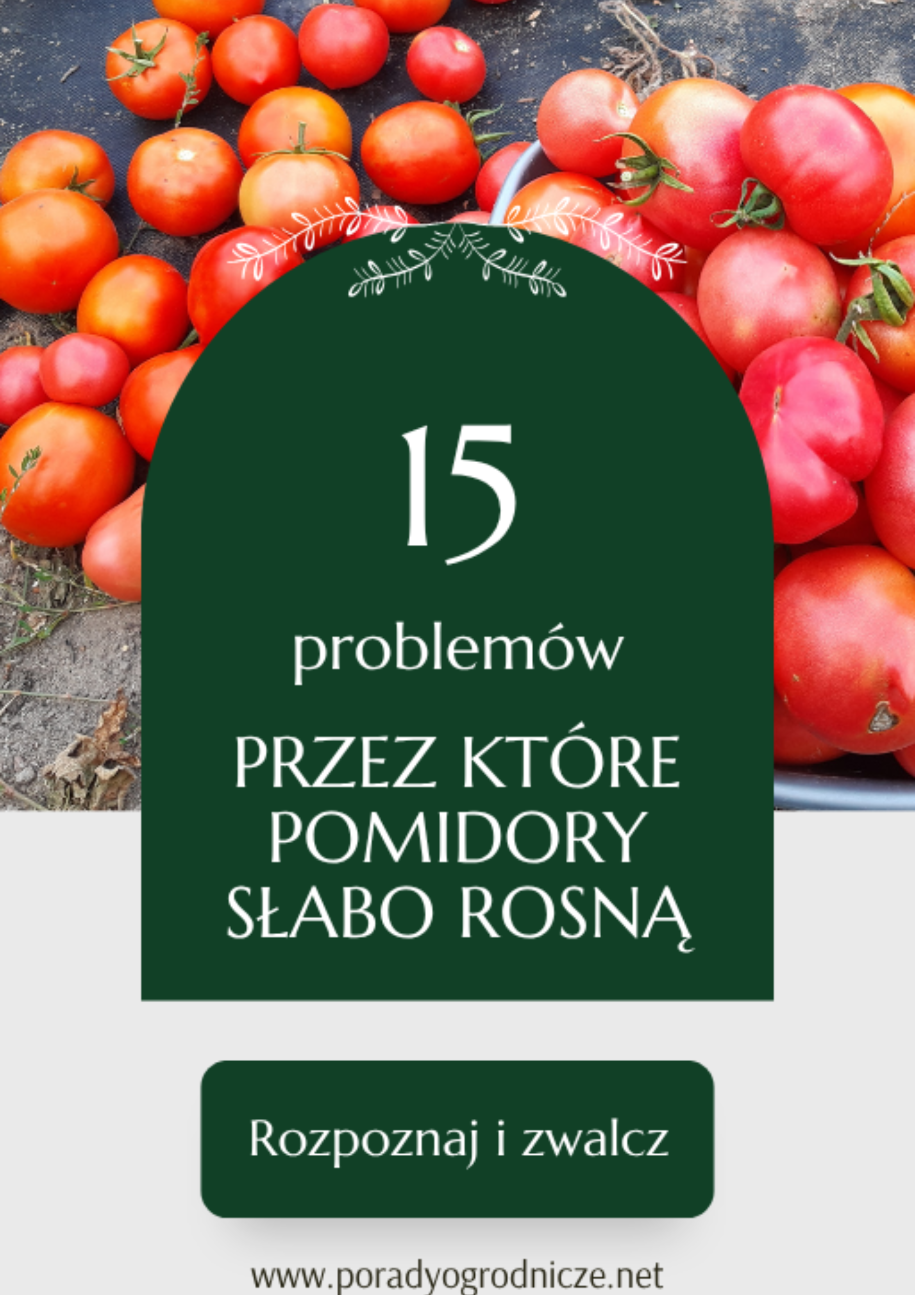 Zdjęcie produktu
